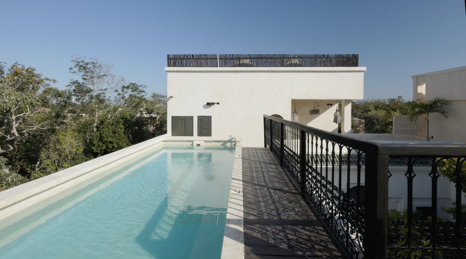 Rooftop pool above the treetops
